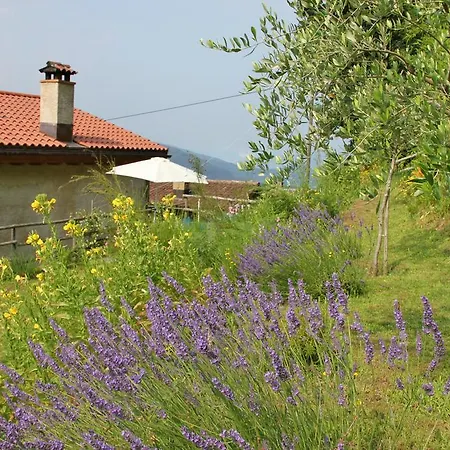 Casa Al Sasso